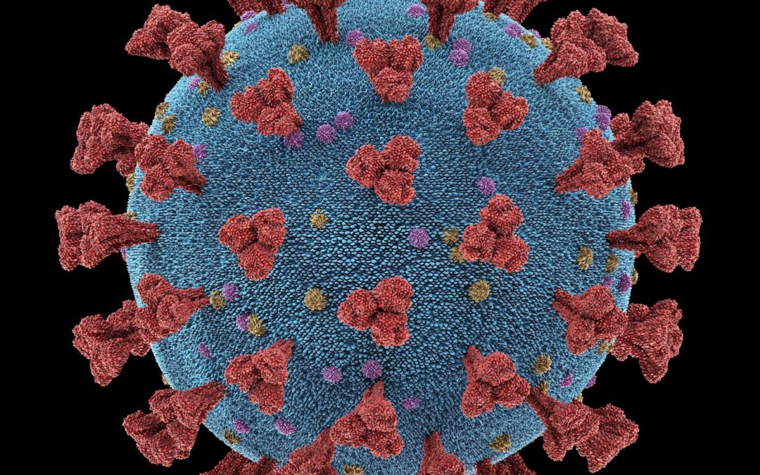 Coronavirus Actualización 06/04/2020