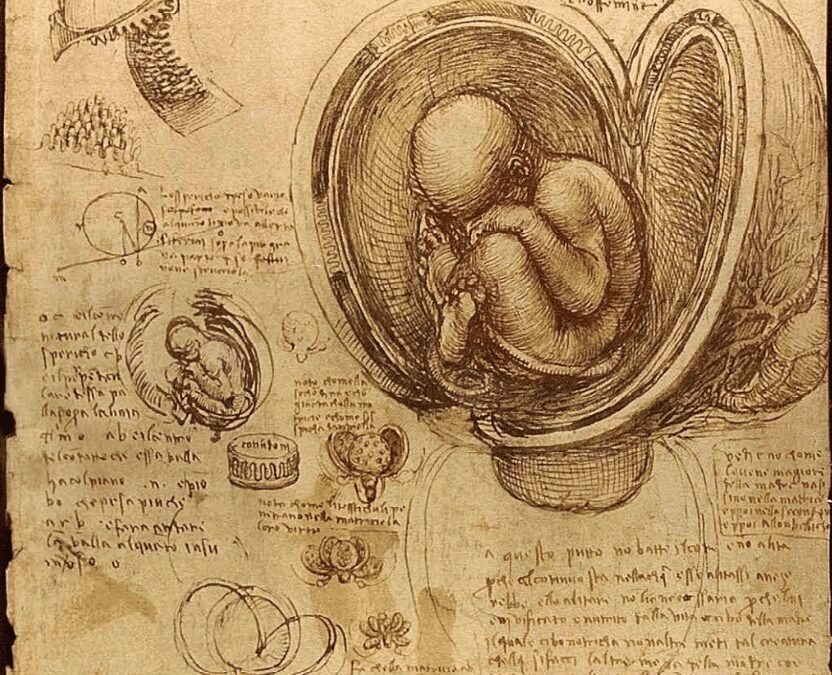 El Arte y la Ciencia Médica