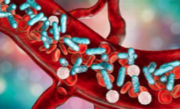 Moleculas de sepsis en el torrente