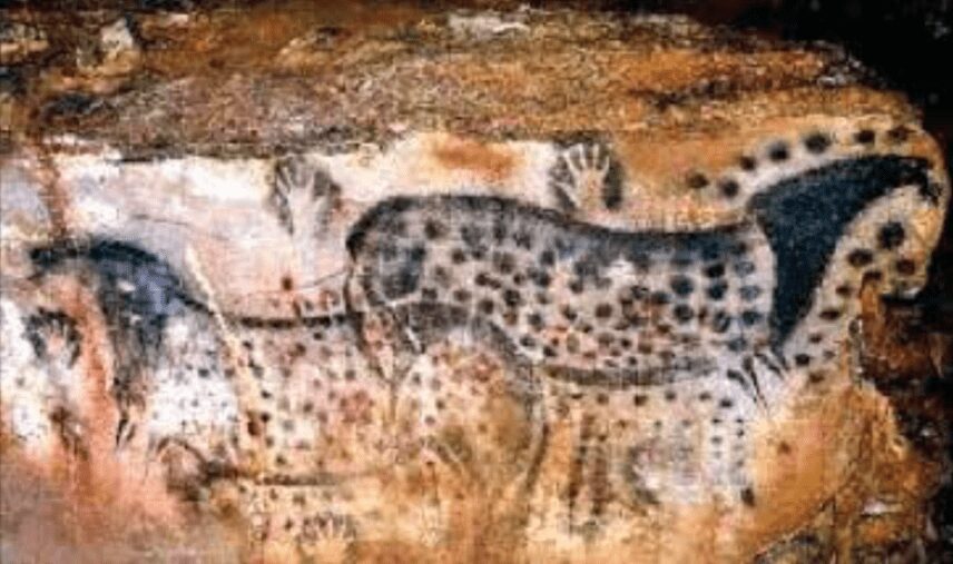 Pinturas de caballos en cuevas Evolución, Caballos y Curiosidad